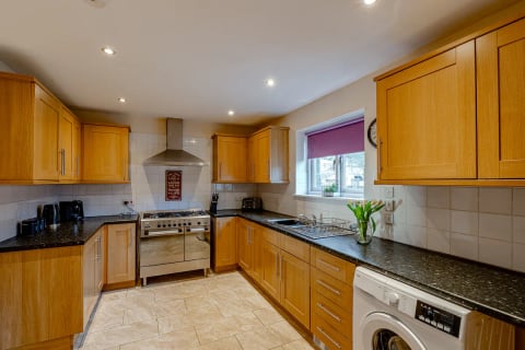 Range cooker under the extractor with tulips on the sill
