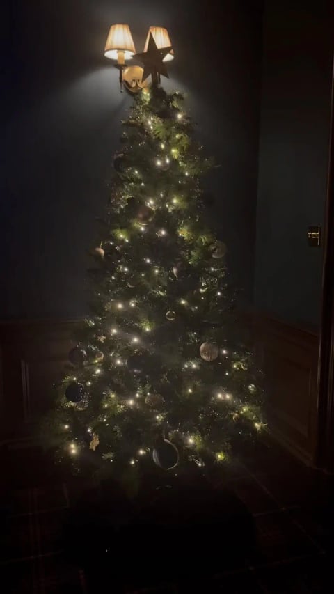 The Christmas tree twinkling in the hall
