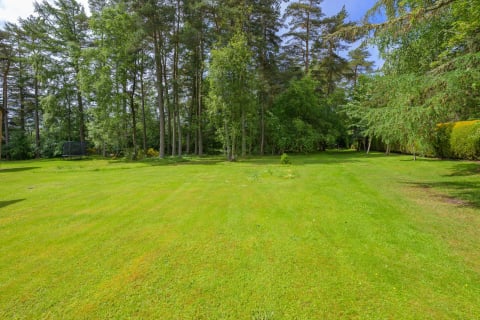 The lawn and mature woodland behind the house