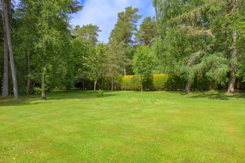 The private lawn edged by mature trees