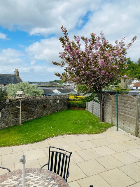 Enclosed garden with cherry blossom and lawn