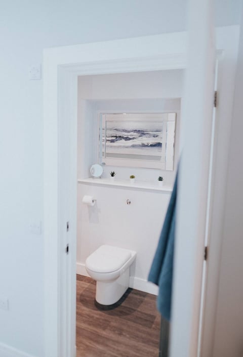 WC with coastal print above
