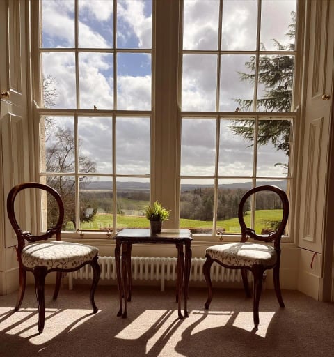 Balloon-back chairs by the tall window overlooking parkland