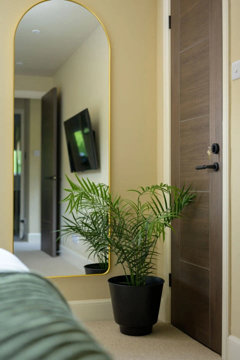 Wall-mounted TV and houseplant by the mirror