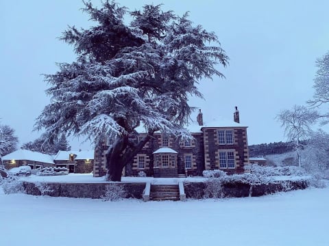 The house and cedar tree under winter snow