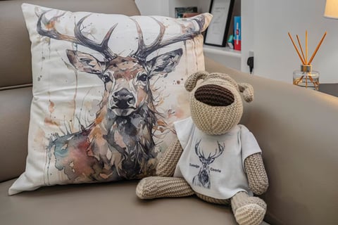 Stag cushion and teddy in a Coaledge Coorie jumper