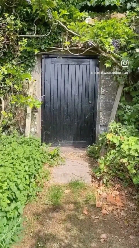 The walled garden door framed by greenery