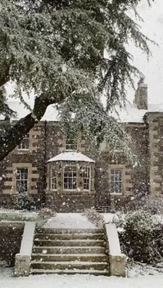 Snow falling past the bay window