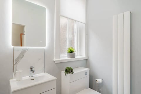 Cloakroom with basin and plant