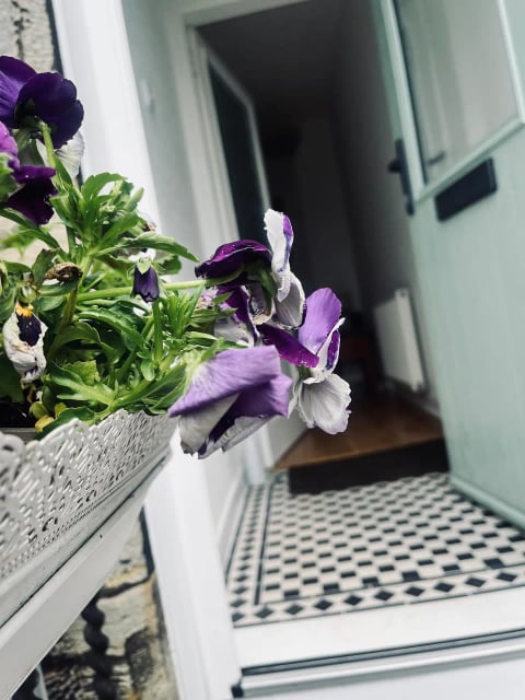 Pansies by the front door with tiled entrance hall