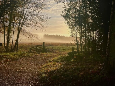 Morning mist rolling over the fields