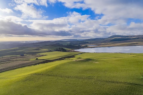 Green pasture and the loch from above