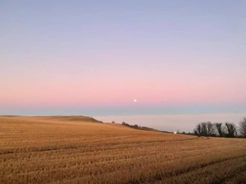 Moonrise over golden barley fields