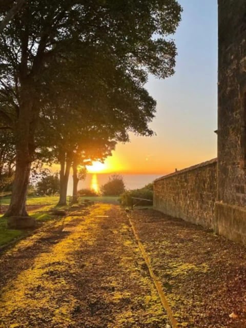 Sunset over the sea from the tree-lined path
