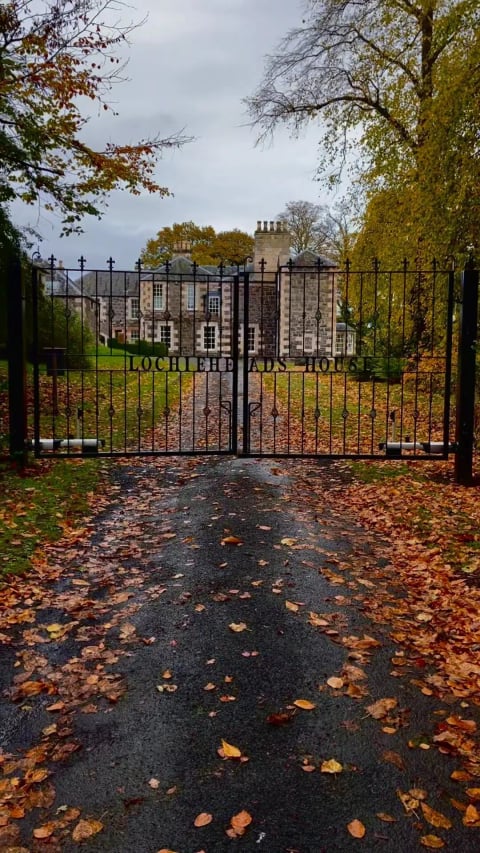 Wrought-iron estate gates with autumn leaves on the drive