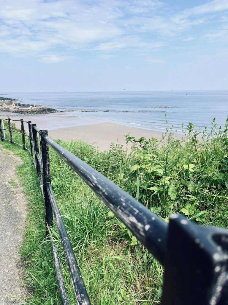 Coastal pathway overlooking a serene beach and ocean under a clear blue sky.