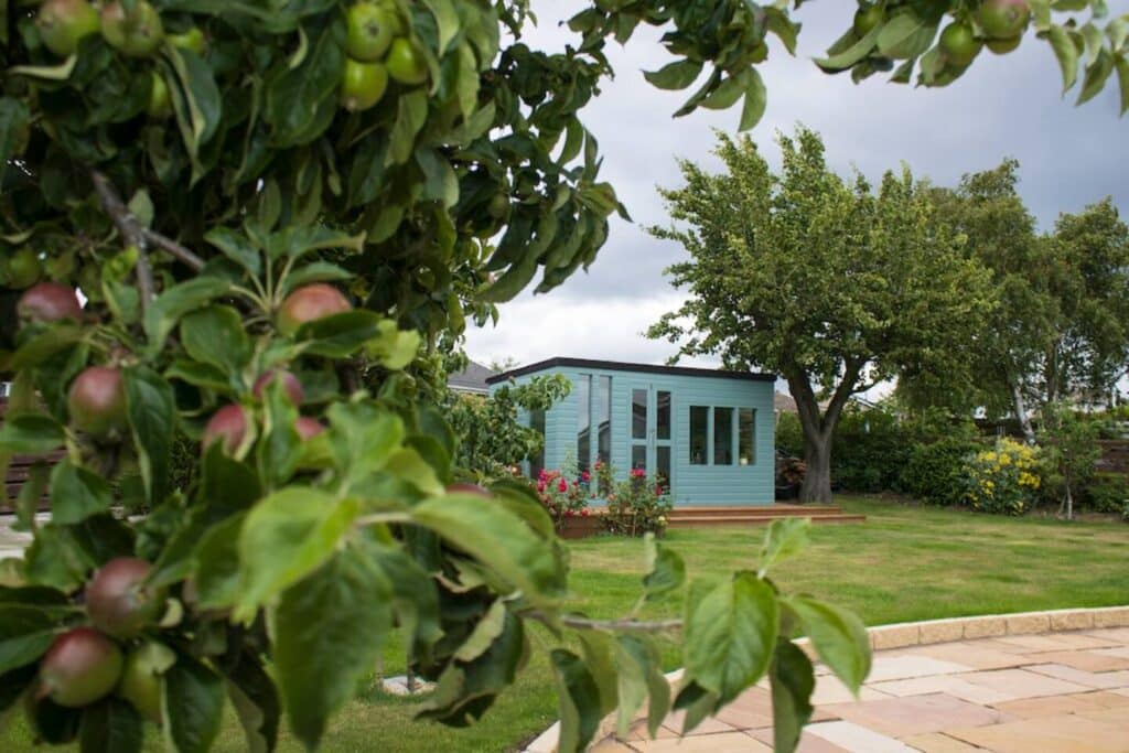 Green garden with apple trees and a blue garden room, ideal for a relaxing outdoor retreat.