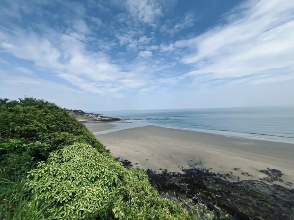 Scenic coastal view of a sandy beach with lush greenery under a blue sky filled with clouds.