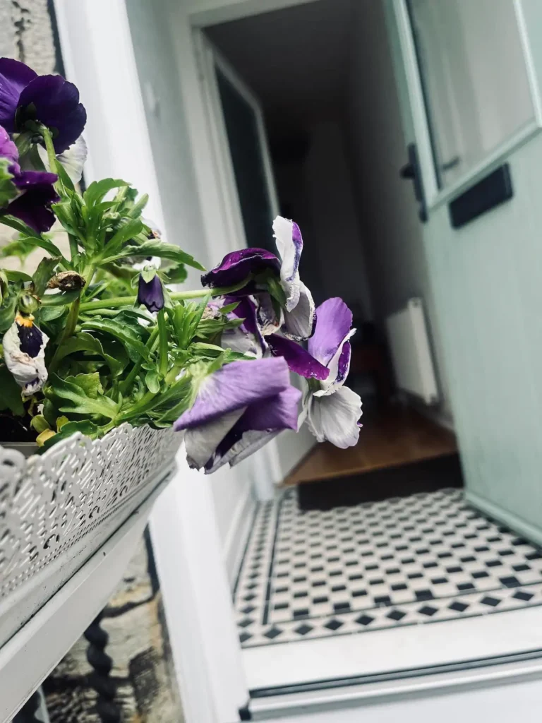 Purple and white flowers near an open door with black and white checkered flooring.