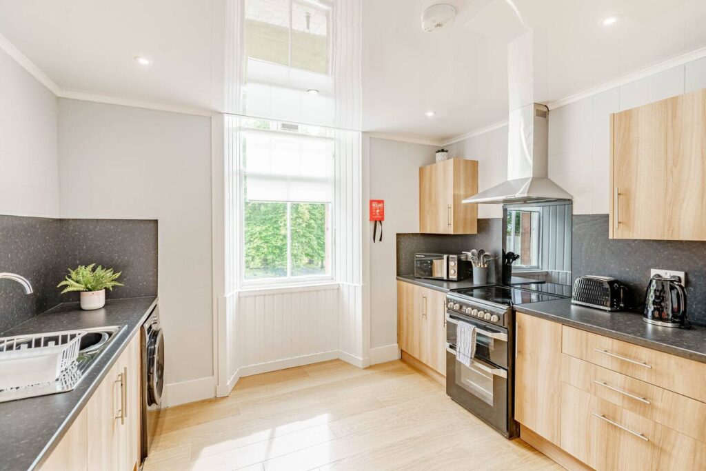 Modern kitchen with natural light, wooden cabinets, stainless steel appliances, and a potted plant on the counter.