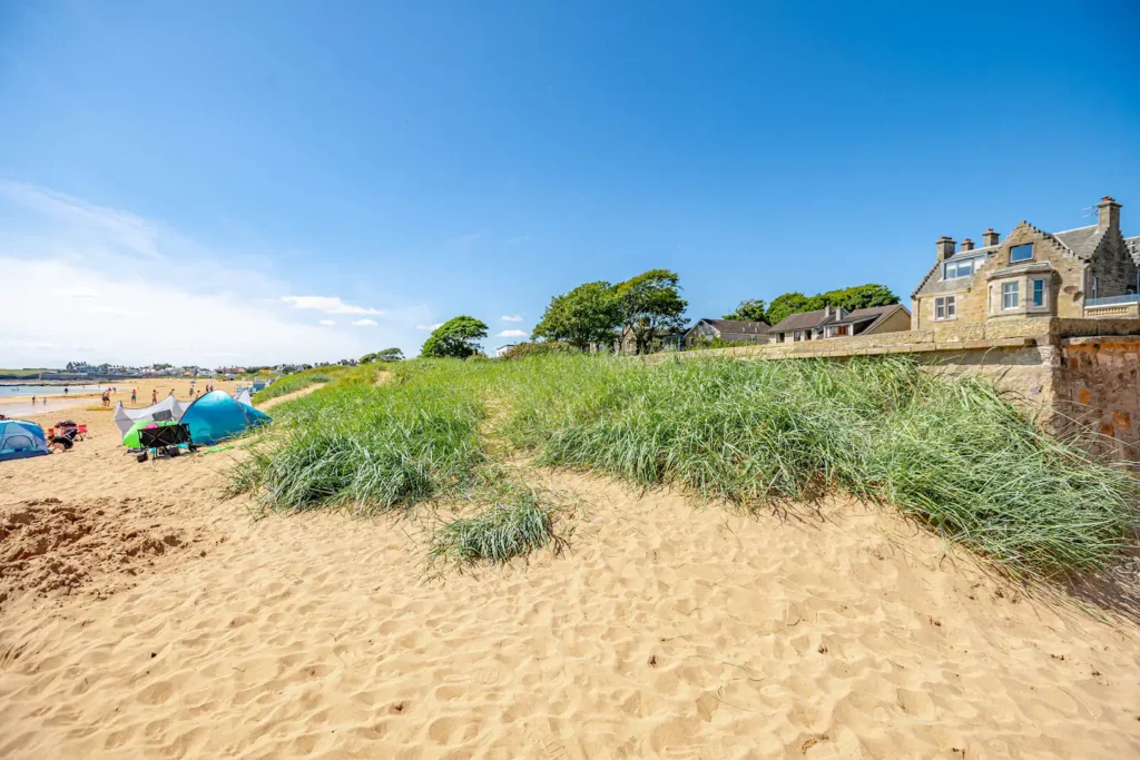 Sandy beach with grass dunes under a clear blue sky, people enjoying sunny day near coastal houses.