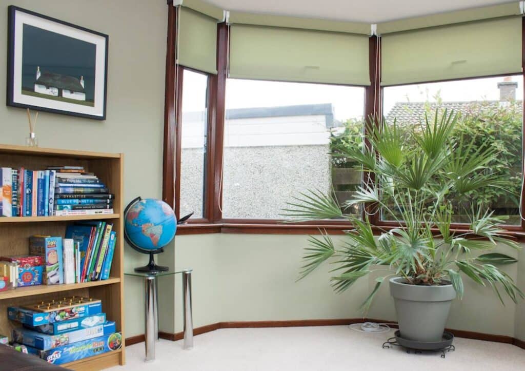 Cozy room with bookshelf, globe, and potted plant next to window, creating a relaxing study space.